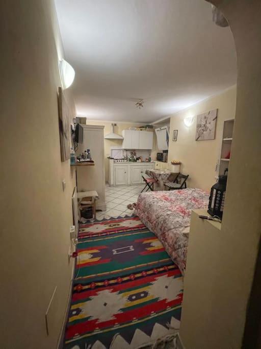 Apartament Monolocale Carino Florencja Zewnętrze zdjęcie